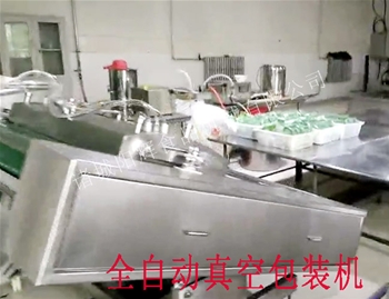 河南全自動真空包裝機(jī)